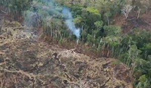 Colombie: des feux en Amazonie touchent 10.000 hectares de forêt