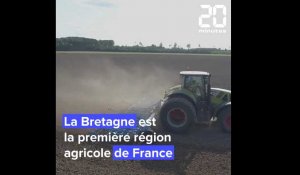 Le poids de l'agriculture en Bretagne