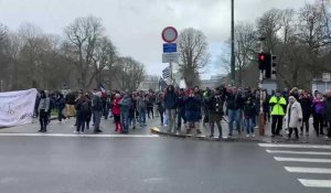 Convoi des Libertés à Bruxelles: des manifestants arrivent au parc du Cinquantenaire 