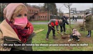 Plantation et bande dessinée autour de la biodiversité à Villeneuve-d'Ascq