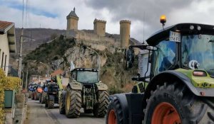 Ariège. Journée de manifestation des agriculteurs à Foix