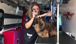 Bruaysis: Florence prend soin de vos chiens à bord d’une ambulance de pompiers