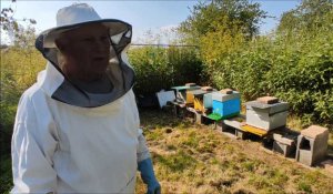Savez-vous comment fonctionne une ruche ? Jean-Pierre Reczek, apiculteur amateur nous explique
