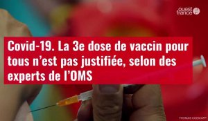 VIDÉO. Covid-19 : la 3e dose de vaccin pour tous n’est pas justifiée, selon l'OMS