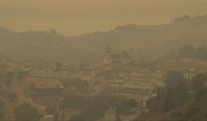 Espagne: l'incendie près de Malaga toujours en cours, nouvelles évacuations