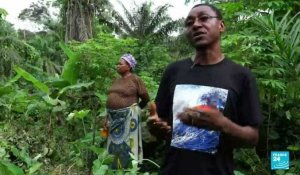 Au Nigeria, la forêt de l'État de Cross River menacée par l'activité humaine