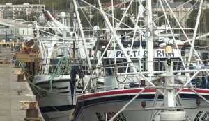 Licences de pêche post-Brexit : les pêcheurs français en rade