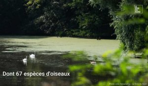 Douai : visite de la réserve naturelle du marais de Wagnonville