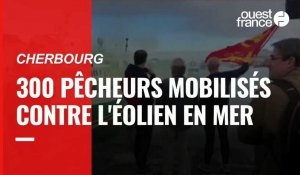 VIDEO. Manifestation des pêcheurs à Cherbourg contre l'éolien en mer