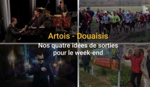 Quatre idées de sorties dans l'Artois - Douaisis ce week-end
