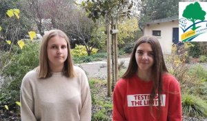 Avec le programme Graines d'Europe, les élèves du Lycée de Coulogne s'ouvrent au monde