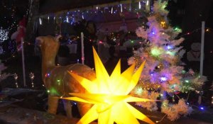Fête de Noël : Un jardin haut en couleurs à Conty