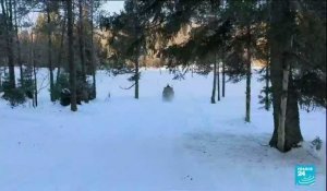 France : record de froid dans le Jura, jusqu'à 26° dans la forêt de la Combe Noire
