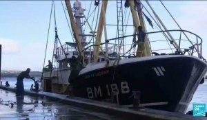 Pêche post-Brexit : 40 licences accordées à des bateaux français
