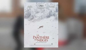 "La panthère des neiges" : rencontre avec Sylvain Tesson, Vincent Munier et Marie Amiguet