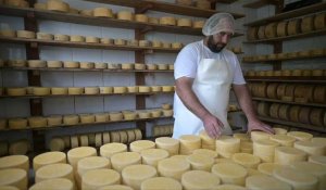Le Brésil, terroir méconnu de fromages d'excellence