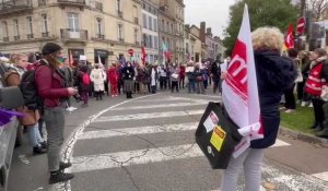 Violences faites aux femmes : plusieurs centaines de personnes dans les rues de Troyes
