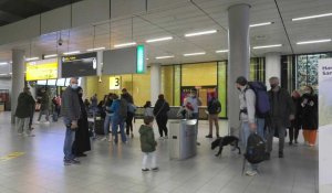 Pays-Bas: images à Schiphol après la découverte de 61 cas de Covid dans un vol d'Afrique du sud
