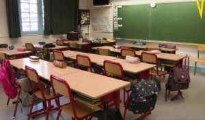 Covid en France: à l'école "on a pris le pli" de la continuité pédagogique