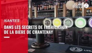 VIDÉO. Dans les secrets de fabrication de la bière de Chantenay, à Nantes