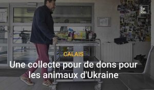 La LPA du Calaisis lance   une collecte pour   les animaux d’Ukraine