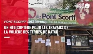 VIDEO. A Pont-Scorff, un hélicoptère pour les travaux de la nouvelle volière des Terres de Nataé