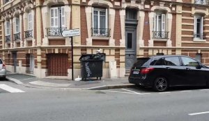 Le Havre. Un goéland mangeur de poubelles pris en flagrant délit !