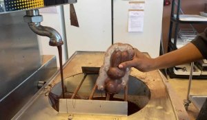 La naissance de lapins de Pâques dans la chocolaterie Encuentro