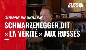 VIDÉO. Guerre en Ukraine : Arnold Schwarzenegger dit « la vérité » aux Russes			