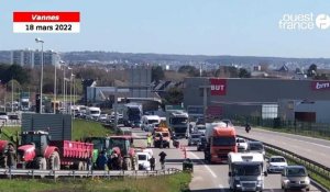 VIDÉO. Prix du carburant : les agriculteurs du Morbihan paralysent la circulation à Vannes