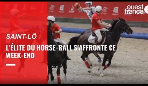 VIDÉO. L’élite du horse-ball s’affronte ce week-end à Saint-Lô