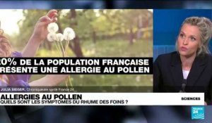 Allergie aux Pollens : quels sont les symptômes du rhume des foins ?