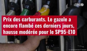 VIDÉO. Prix des carburants. Le gazole a encore flambé ces derniers jours, hausse modérée pour le SP95-E10