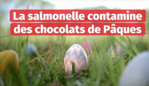 La salmonelle dans les chocolats de Pâques