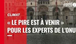 VIDÉO. Climat : « le pire est à venir », détaillent  des experts climat de l'ONU dans un rapport 