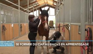 CFA Agricole Public Hauts-de-France : Se former du CAP au Bac +3 en apprentissage