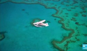 La Grande Barrière de corail "en danger" pour l'Unesco, l'Australie prête à contester