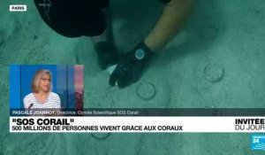 Pascale Joannot : "Chacun d’entre nous doit se sentir responsable des récifs coralliens"