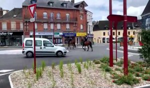 La brigade équestre d’Hirson reprend du service