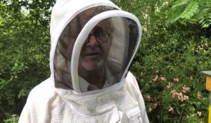 Nicolas Mari, président de l'Abeille savoyarde annécienne, fait le bilan d'une année compliquée pour l'apiculture