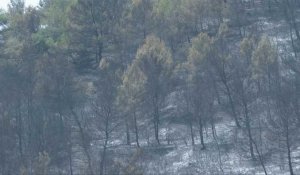 Incendie dans l'Aude: images des dégâts et des arbres calcinés