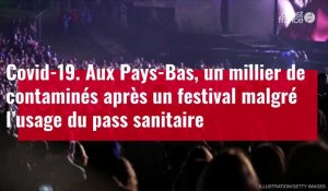 VIDÉO. Covid-19 : aux Pays-Bas, un millier de contaminés après un festival malgré le pass sanitaire