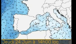 Surf. La houle en Méditerranée : de Perpignan à Fréjus, quelles hauteurs de vagues cette semaine ?