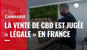 VIDÉO. La cour de cassation juge « légale » la vente de CBD en France 
