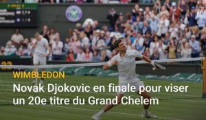 Tennnis : Novak Djokovic en finale à Wimbledon pour viser un 20e titre en Grand Chelem