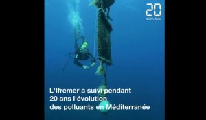 Après 20 ans de surveillance des polluants, quel est l'état de santé de la Méditerranée?