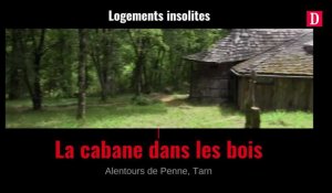 Logements insolites : La cabane dans les bois