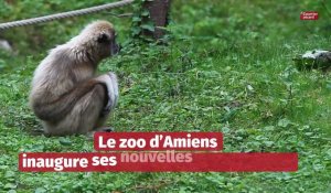 Le zoo d'Amiens inaugure ses nouvelles installations