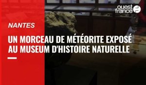 VIDÉO. Un morceau de météorite exposé au Museum d'histoire naturelle de Nantes