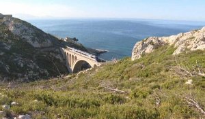 Le retour du train de la côte Bleue, l'une des plus belles lignes de train au monde